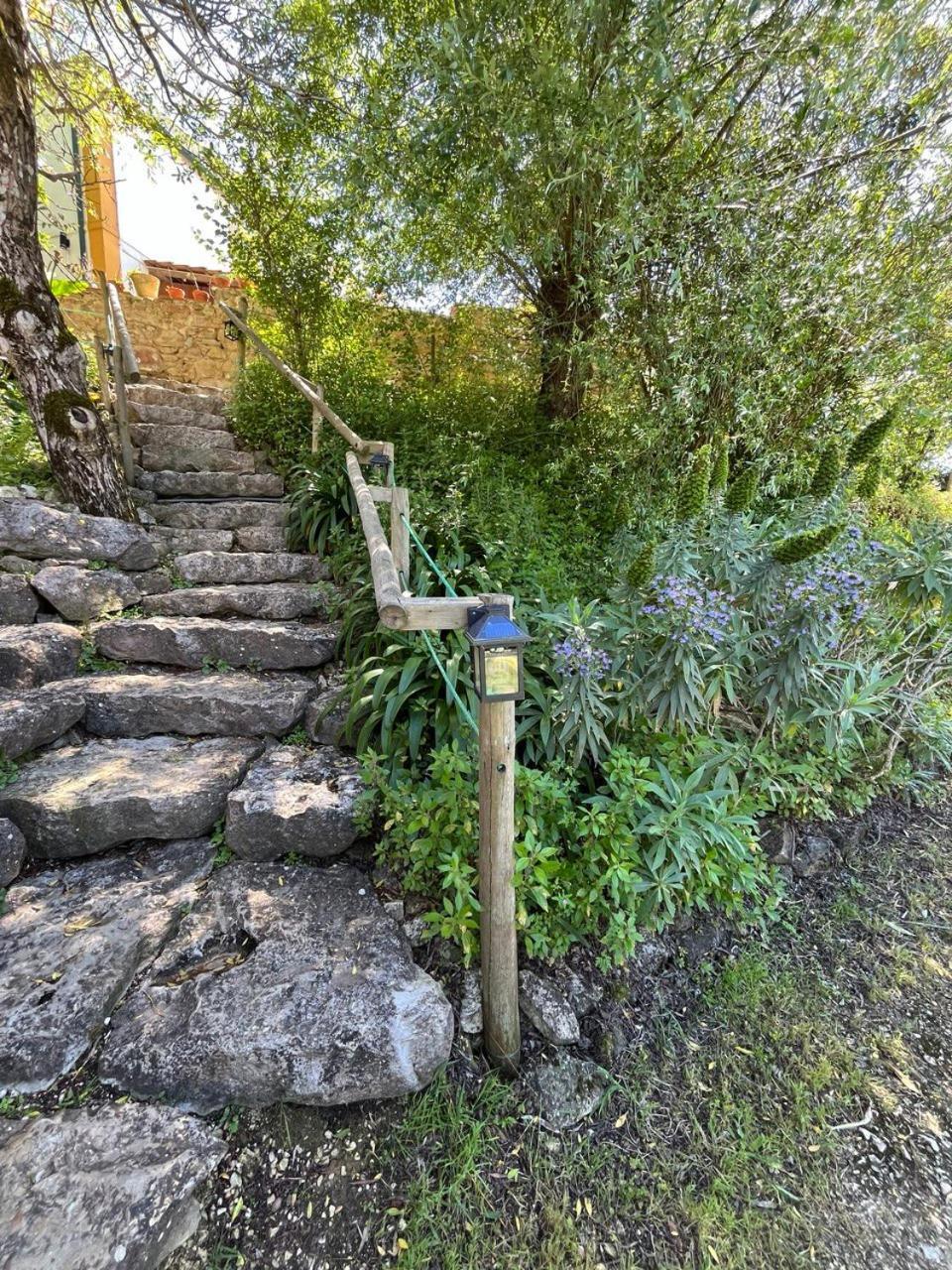 Quinta Laranja - Turismo Rural - Alvorninha المظهر الخارجي الصورة