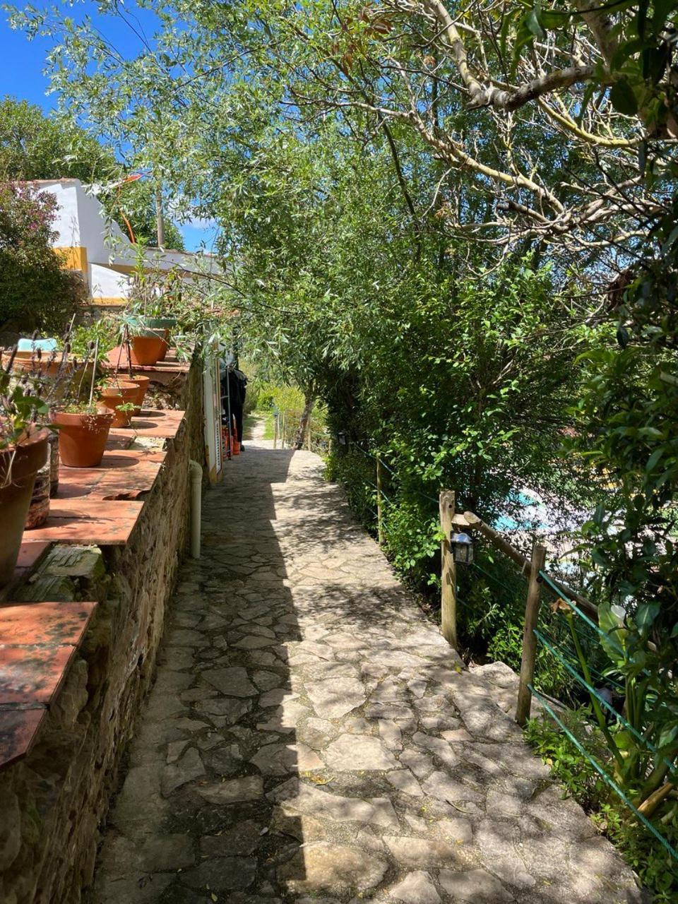 Quinta Laranja - Turismo Rural - Alvorninha المظهر الخارجي الصورة