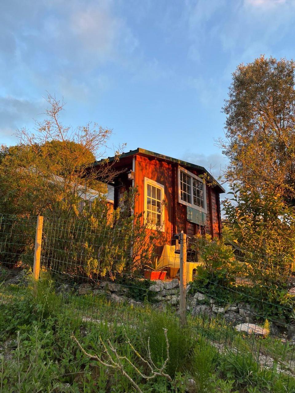 Quinta Laranja - Turismo Rural - Alvorninha المظهر الخارجي الصورة