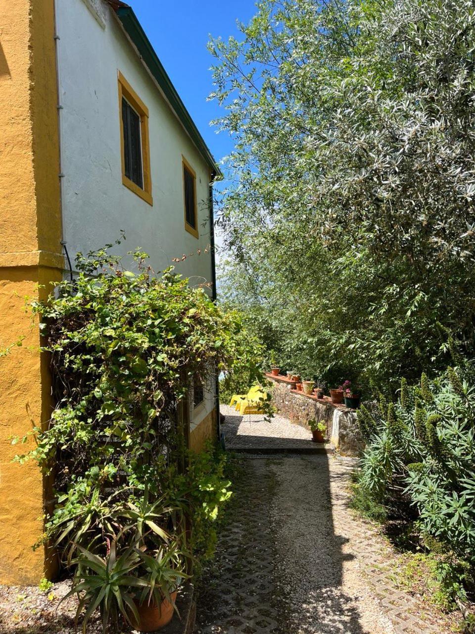 Quinta Laranja - Turismo Rural - Alvorninha المظهر الخارجي الصورة