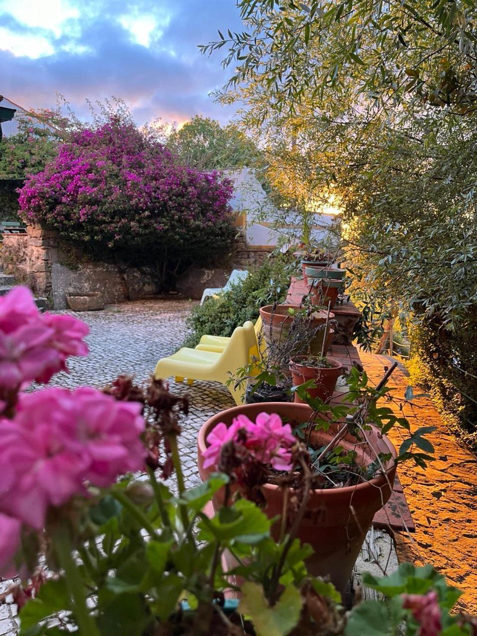 Quinta Laranja - Turismo Rural - Alvorninha المظهر الخارجي الصورة