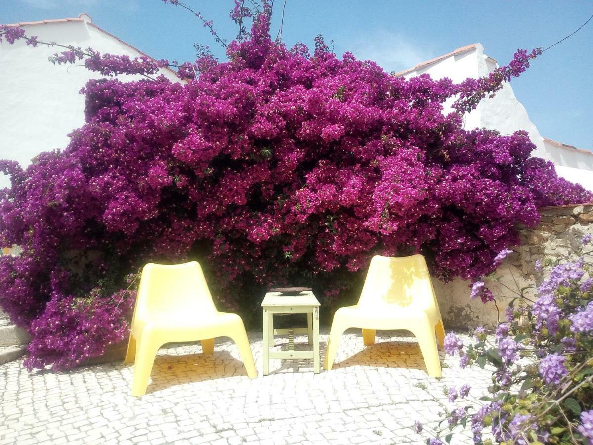 Quinta Laranja - Turismo Rural - Alvorninha المظهر الخارجي الصورة