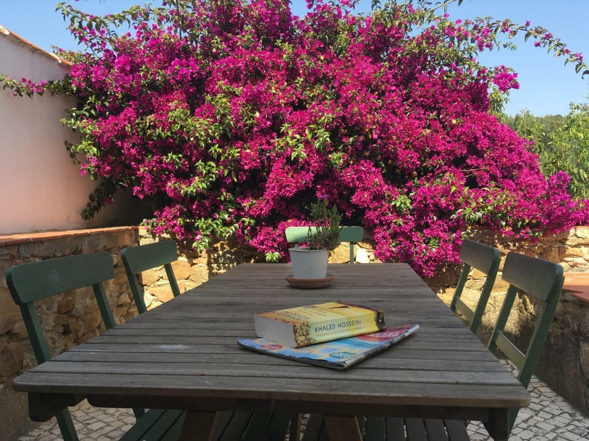 Quinta Laranja - Turismo Rural - Alvorninha المظهر الخارجي الصورة